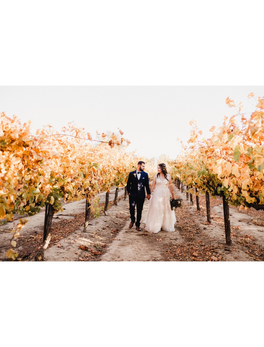 popular-vendors-detail