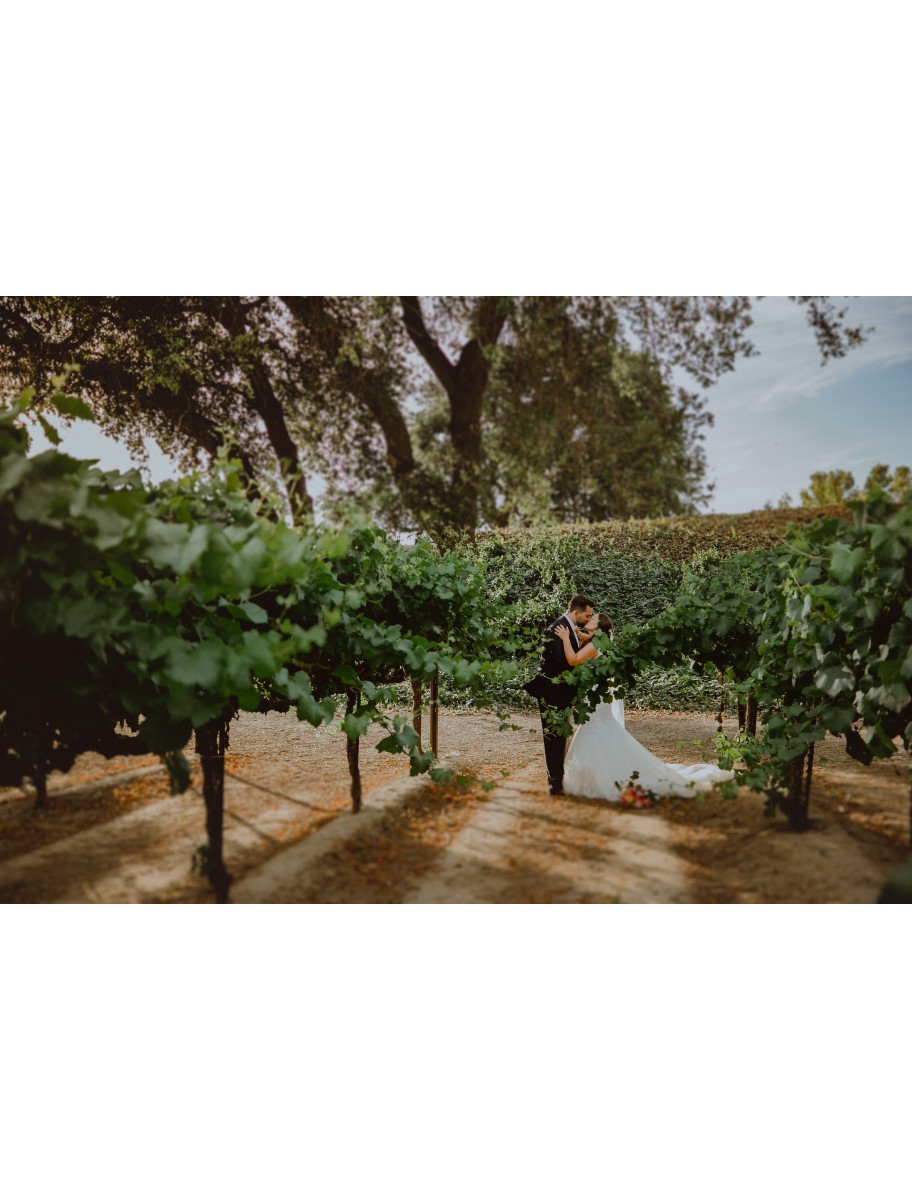 popular-vendors-detail