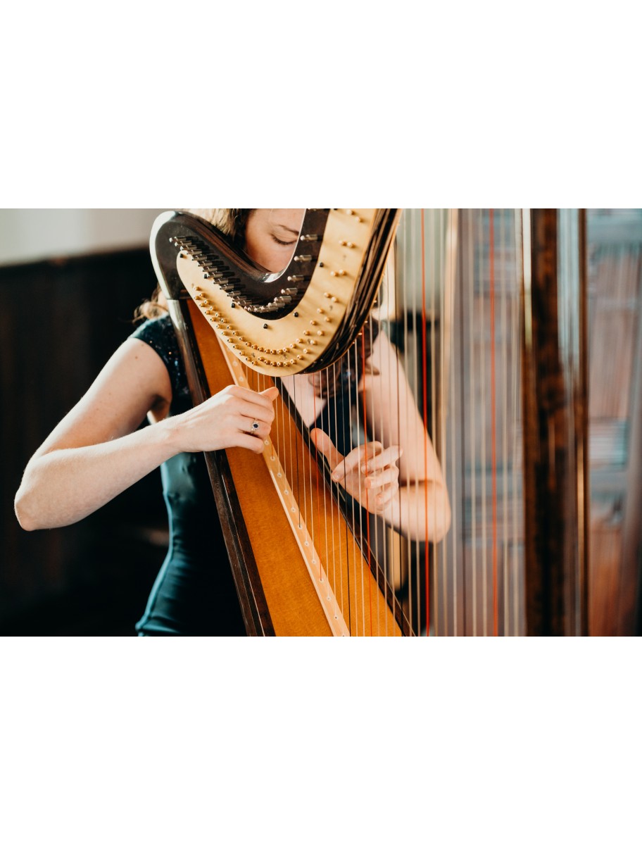 popular-vendors-detail