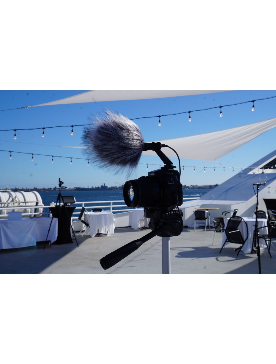 popular-vendors-detail