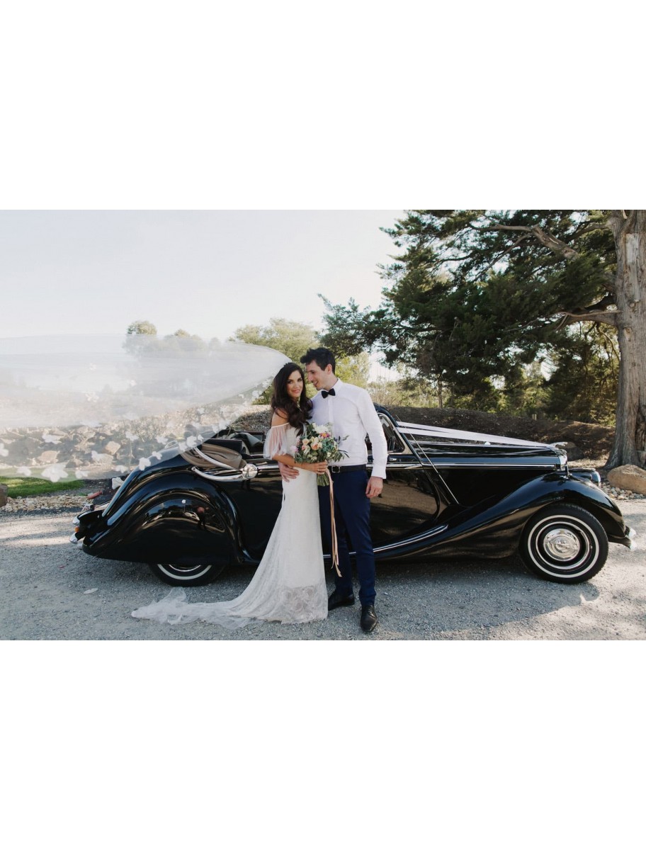 popular-vendors-detail