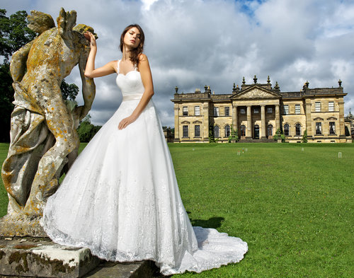 popular-vendors-detail