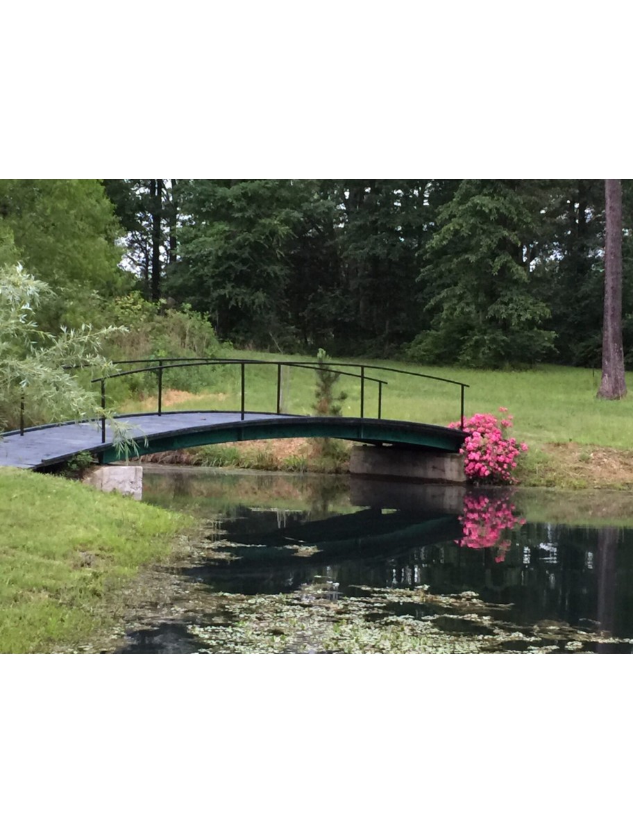 popular-vendors-detail