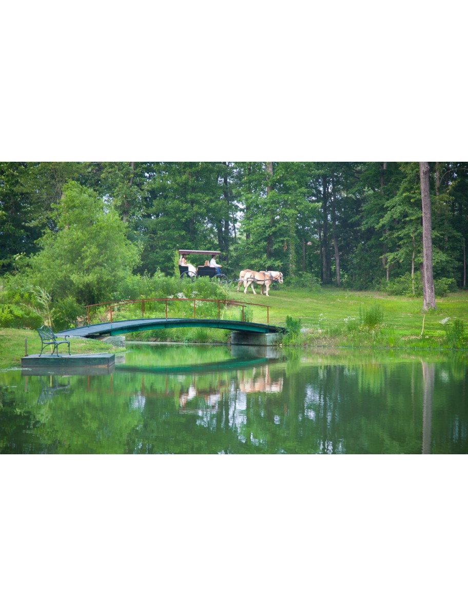 popular-vendors-detail