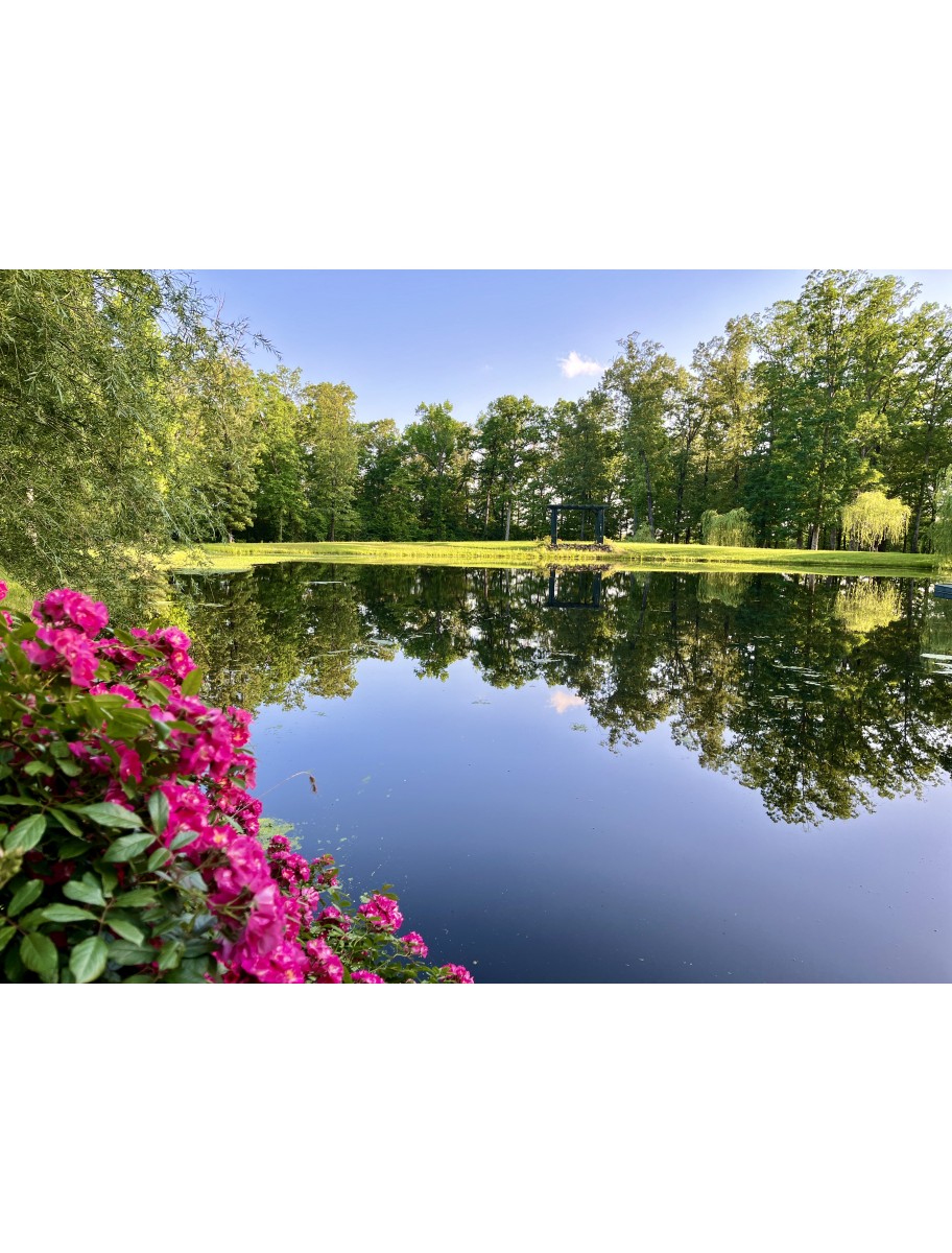 popular-vendors-detail