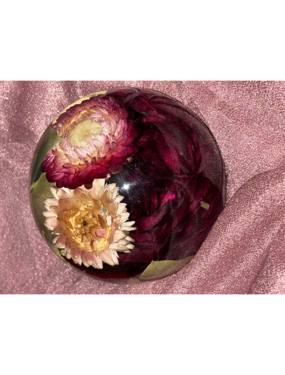 popular-vendors-detail