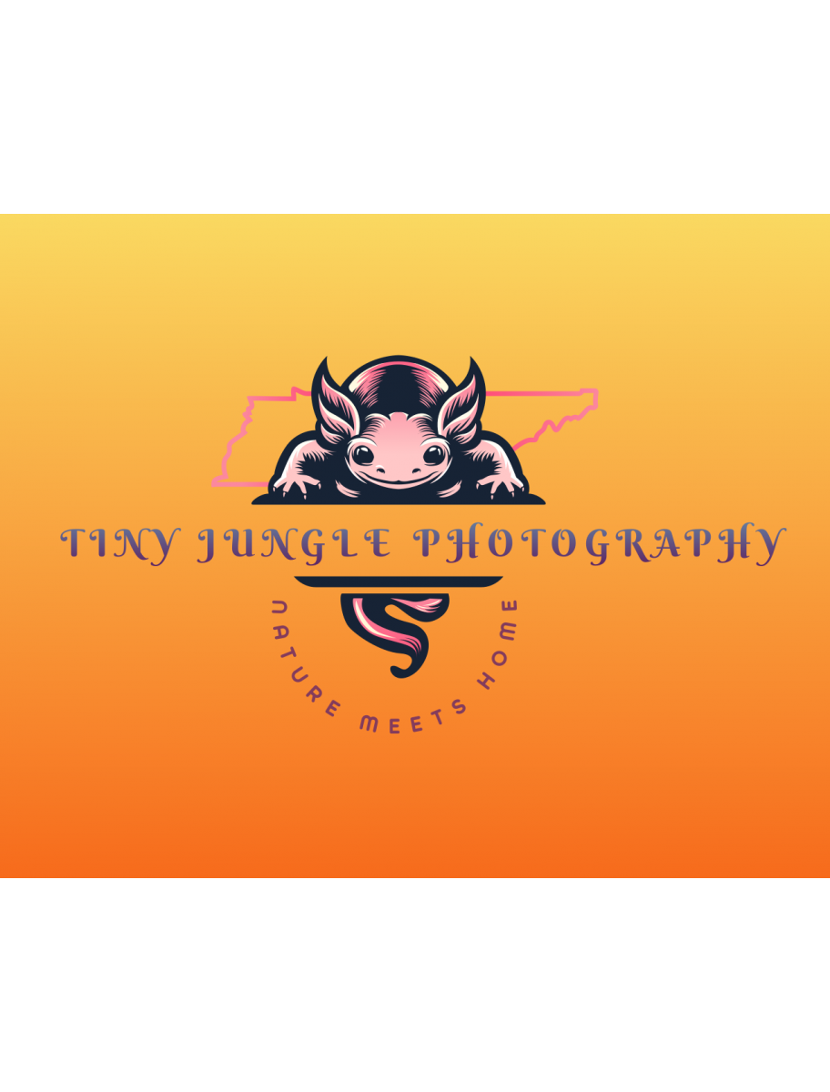 popular-vendors-detail