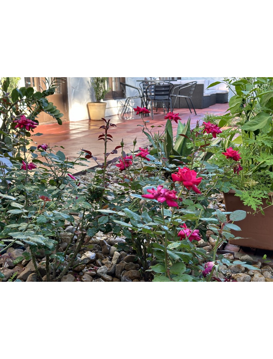 popular-vendors-detail