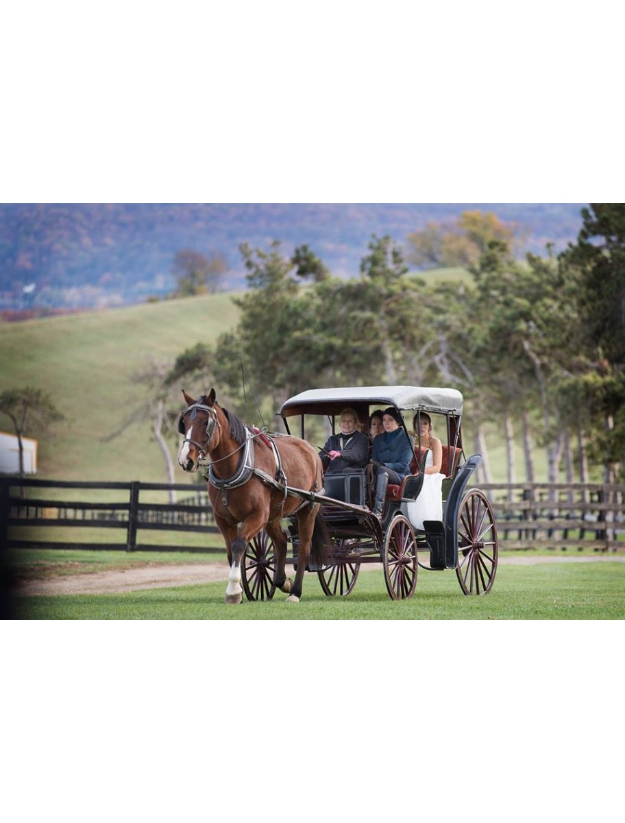 popular-vendors-detail