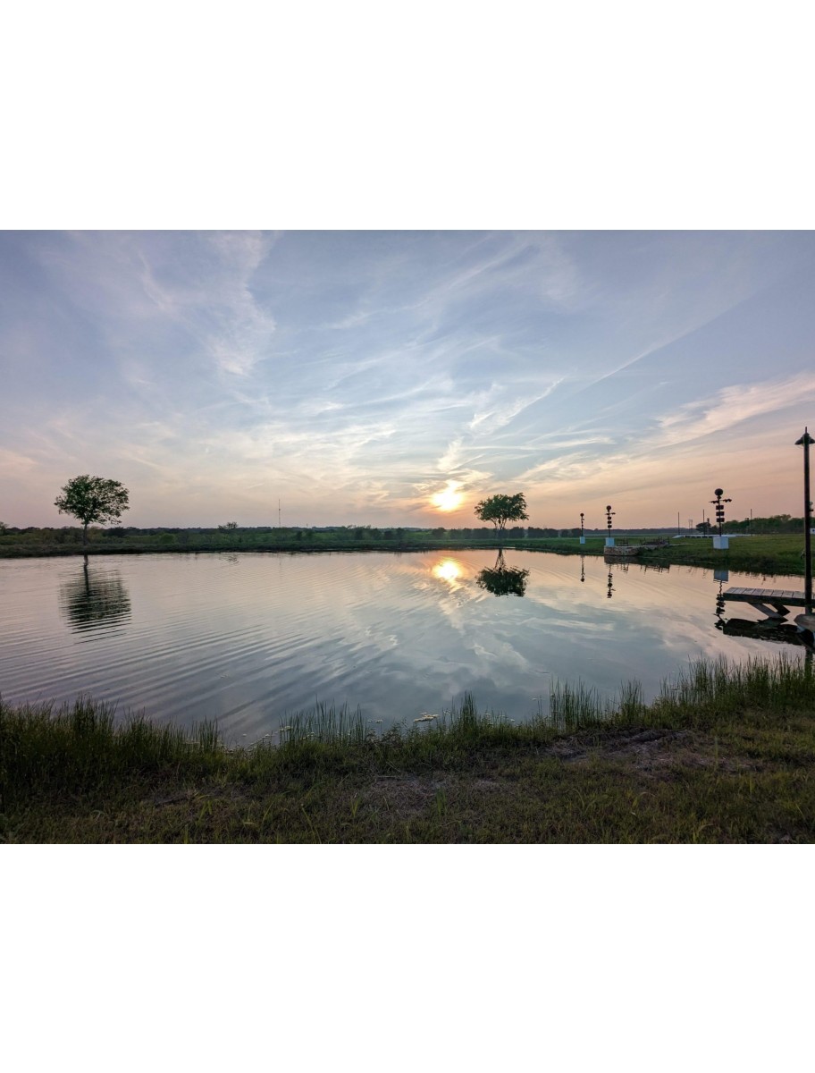 popular-vendors-detail