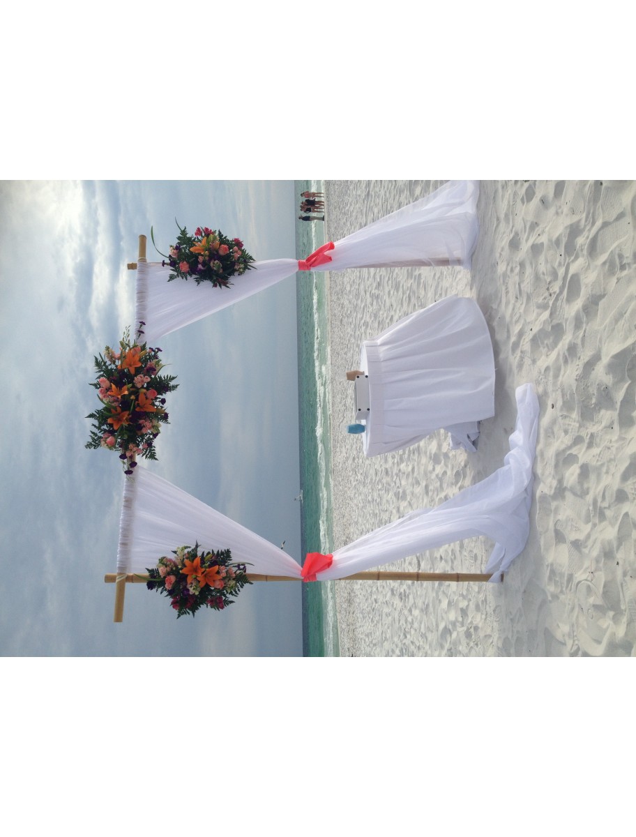 popular-vendors-detail