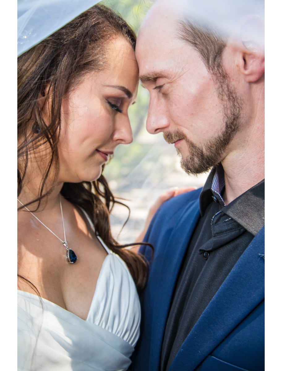 popular-vendors-detail