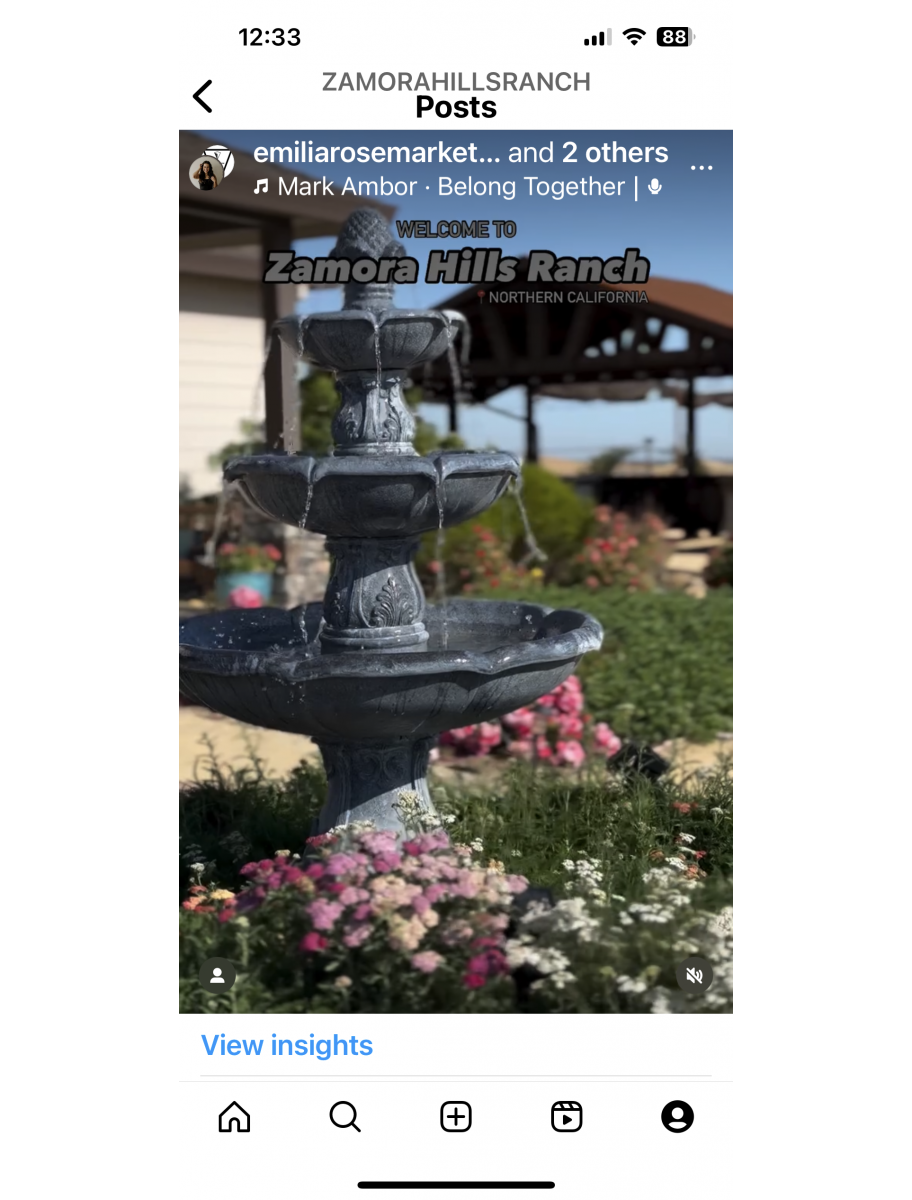 popular-vendors-detail