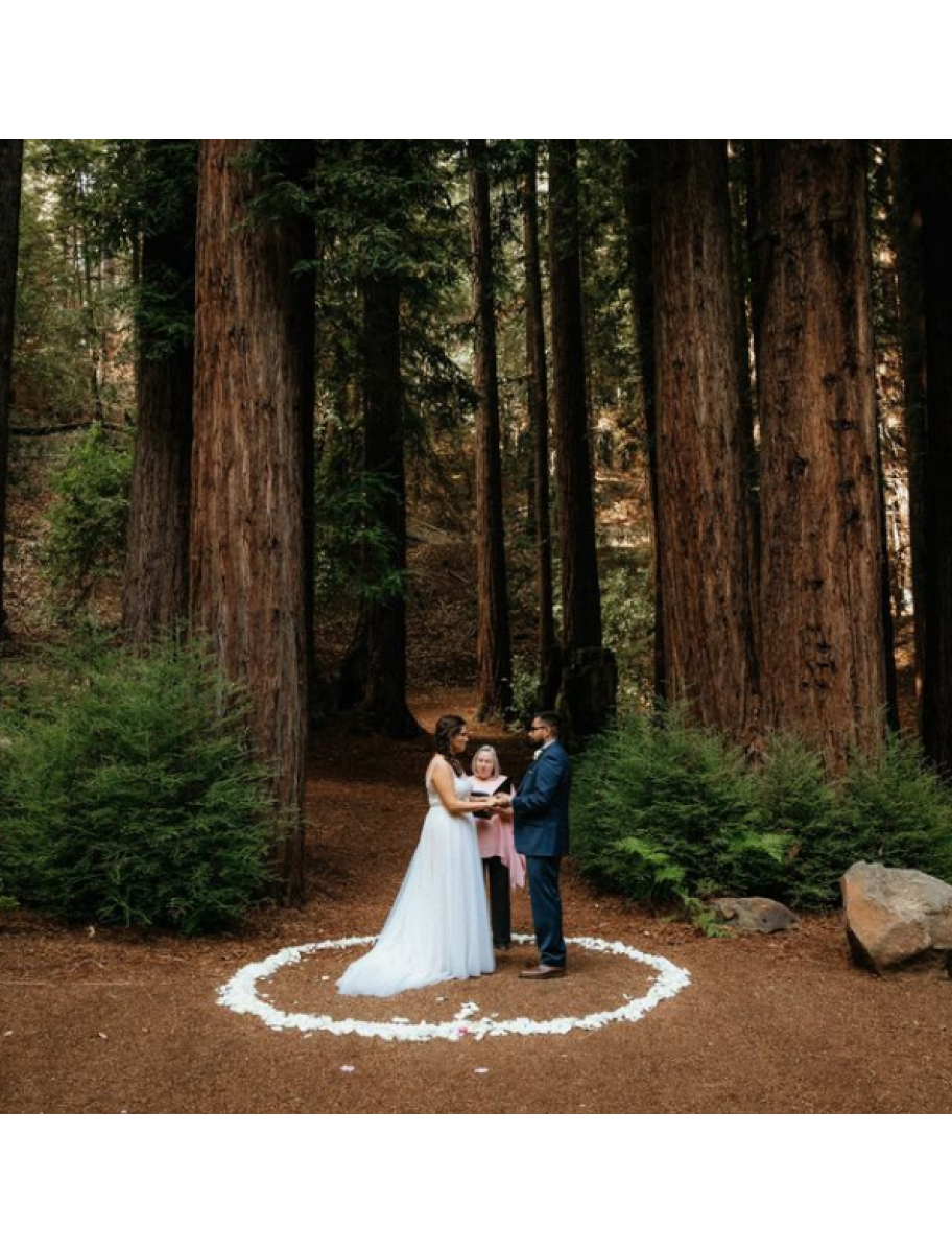 popular-vendors-detail