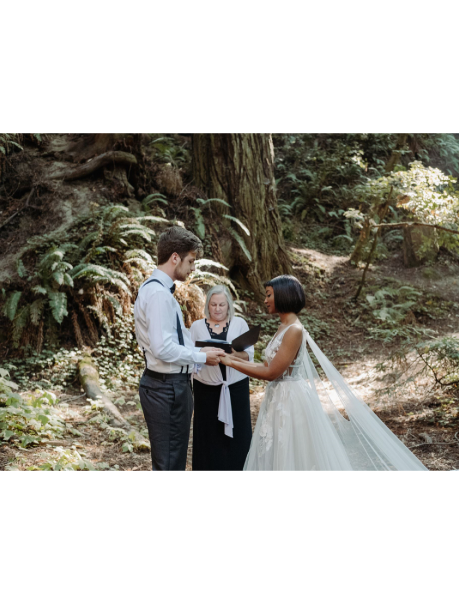 popular-vendors-detail