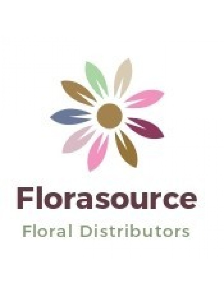 popular-vendors-detail