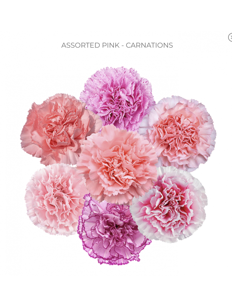 popular-vendors-detail