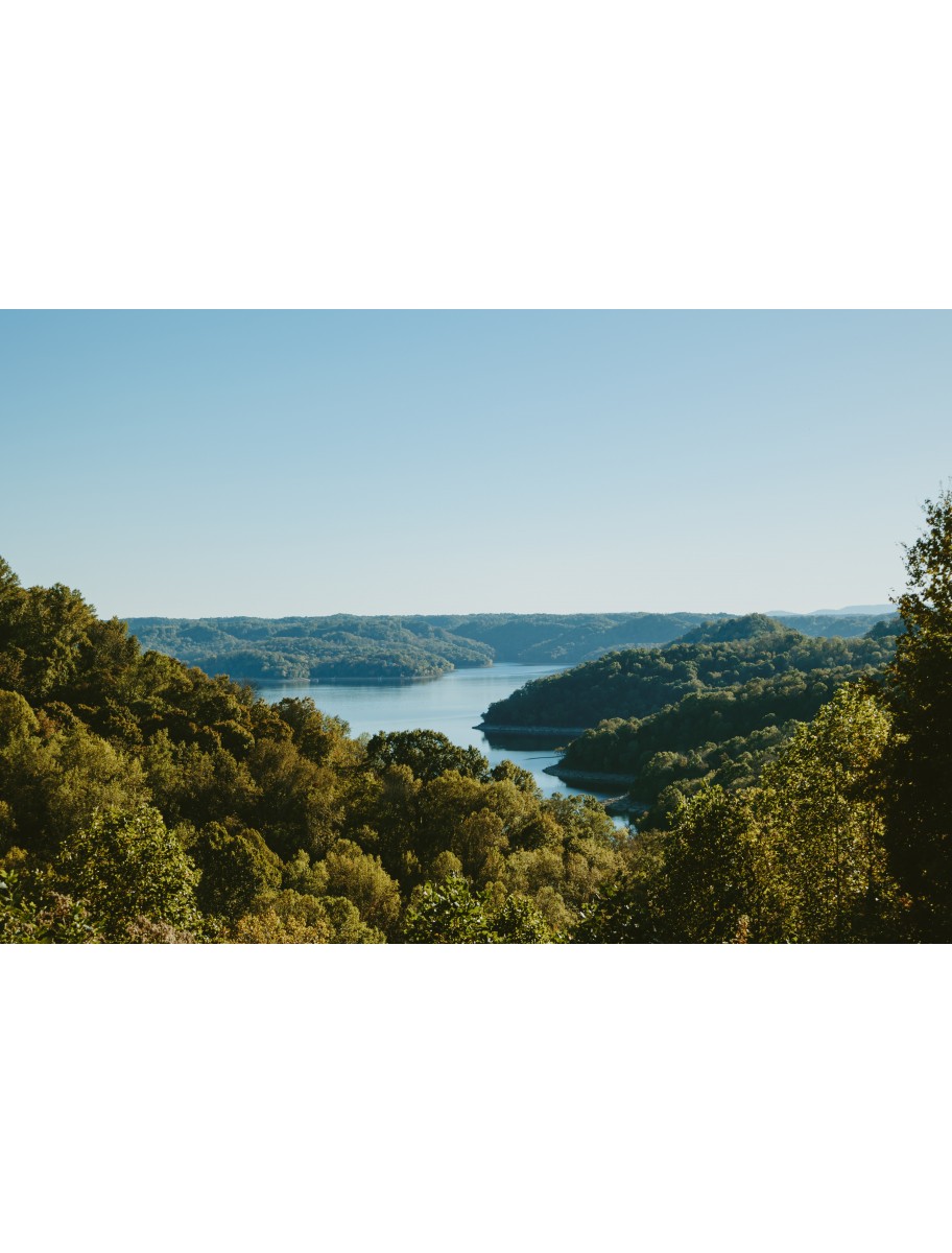 popular-vendors-detail