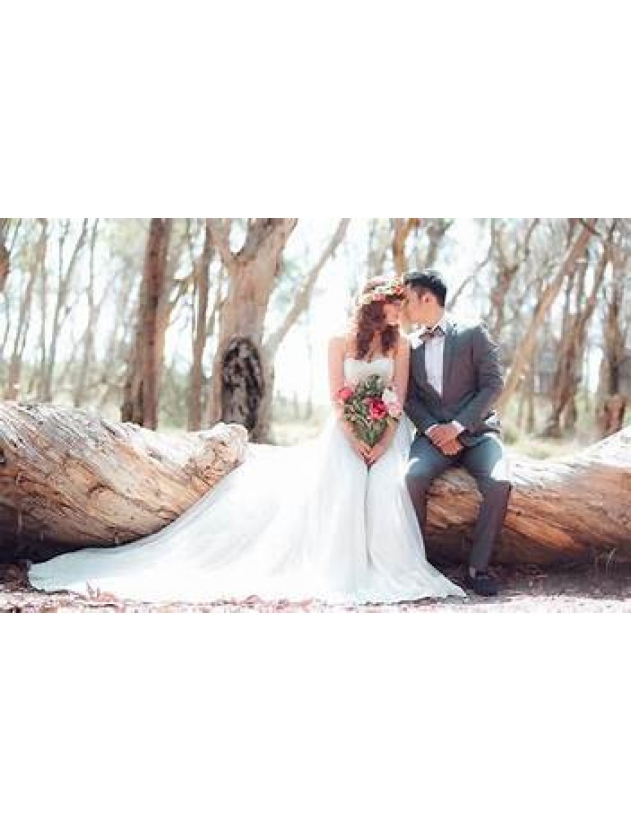 popular-vendors-detail