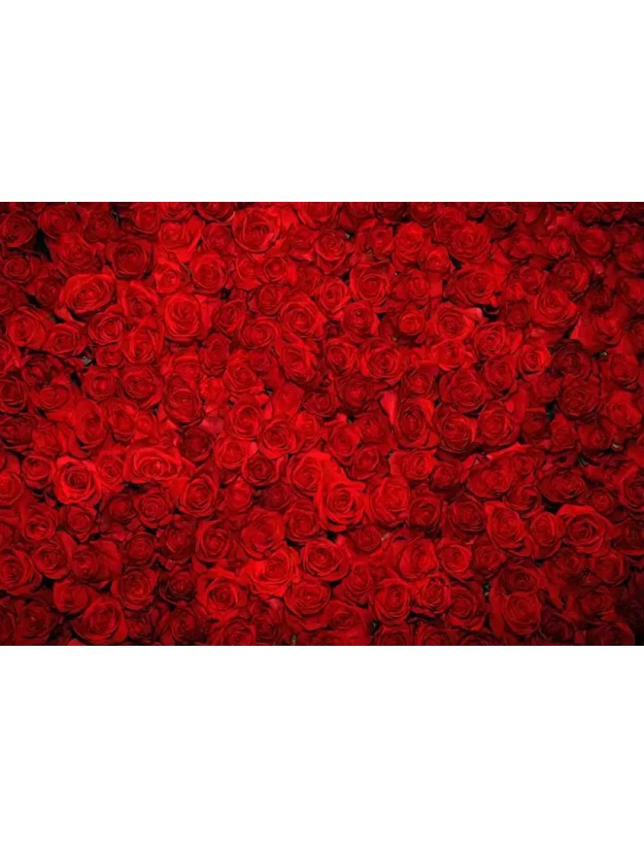 popular-vendors-detail