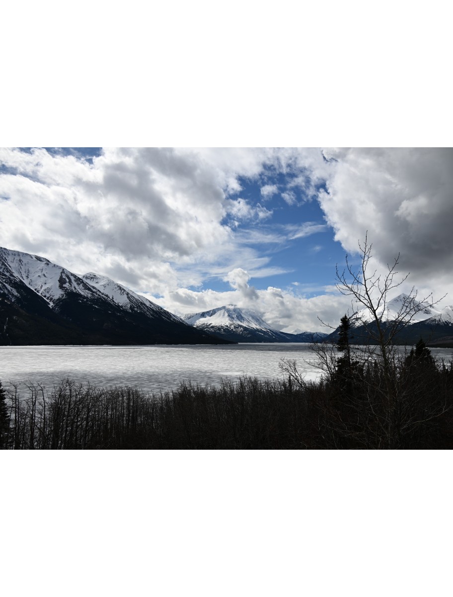 popular-vendors-detail