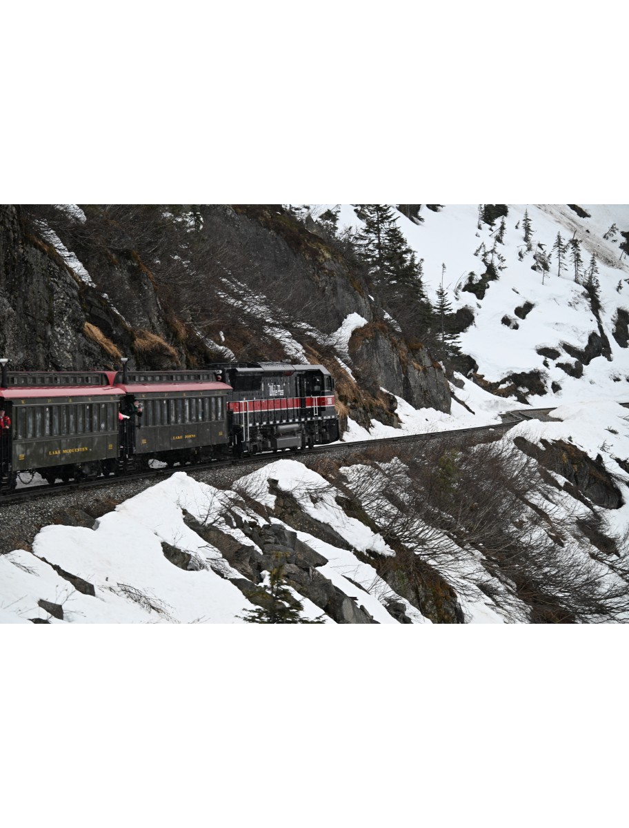 popular-vendors-detail