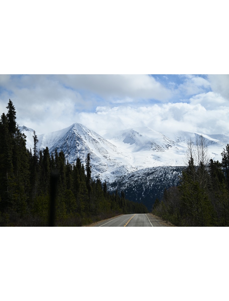 popular-vendors-detail