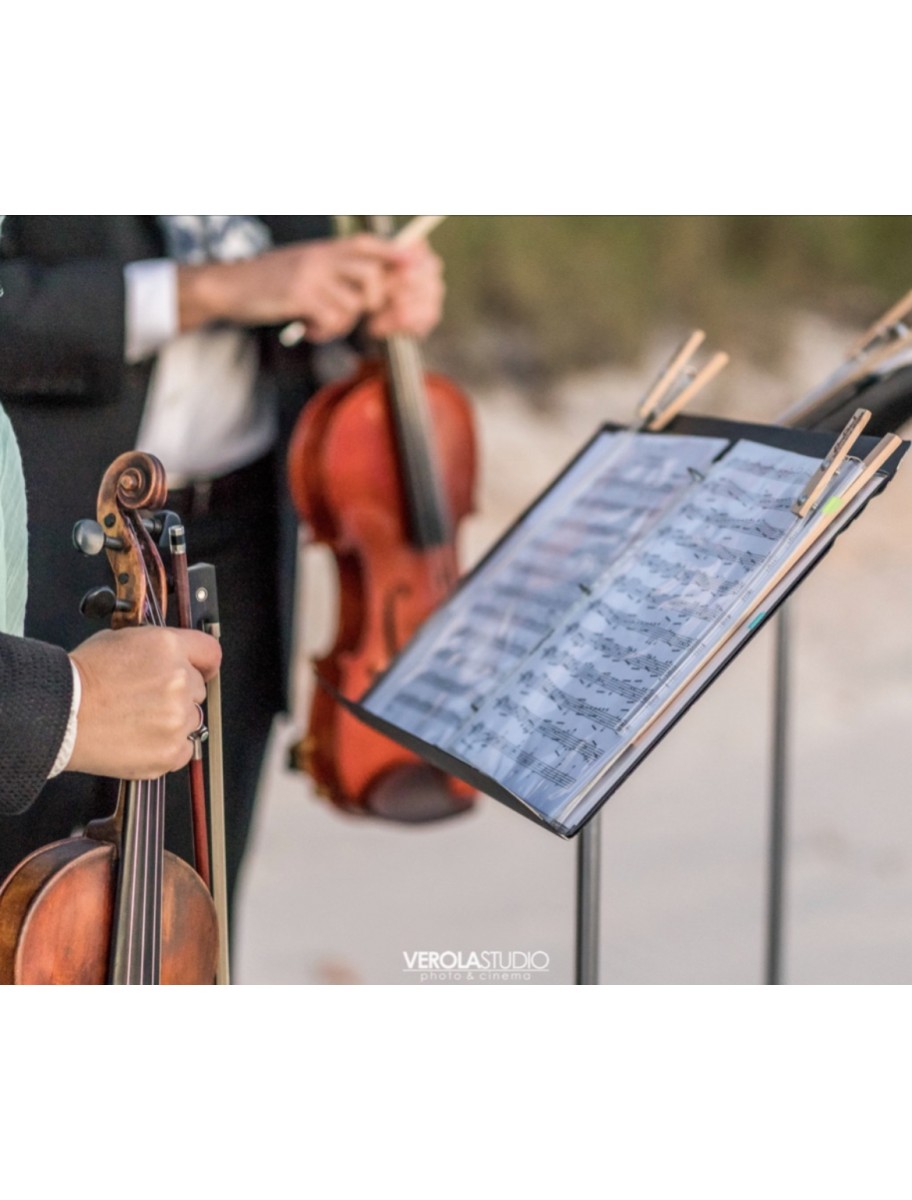 popular-vendors-detail