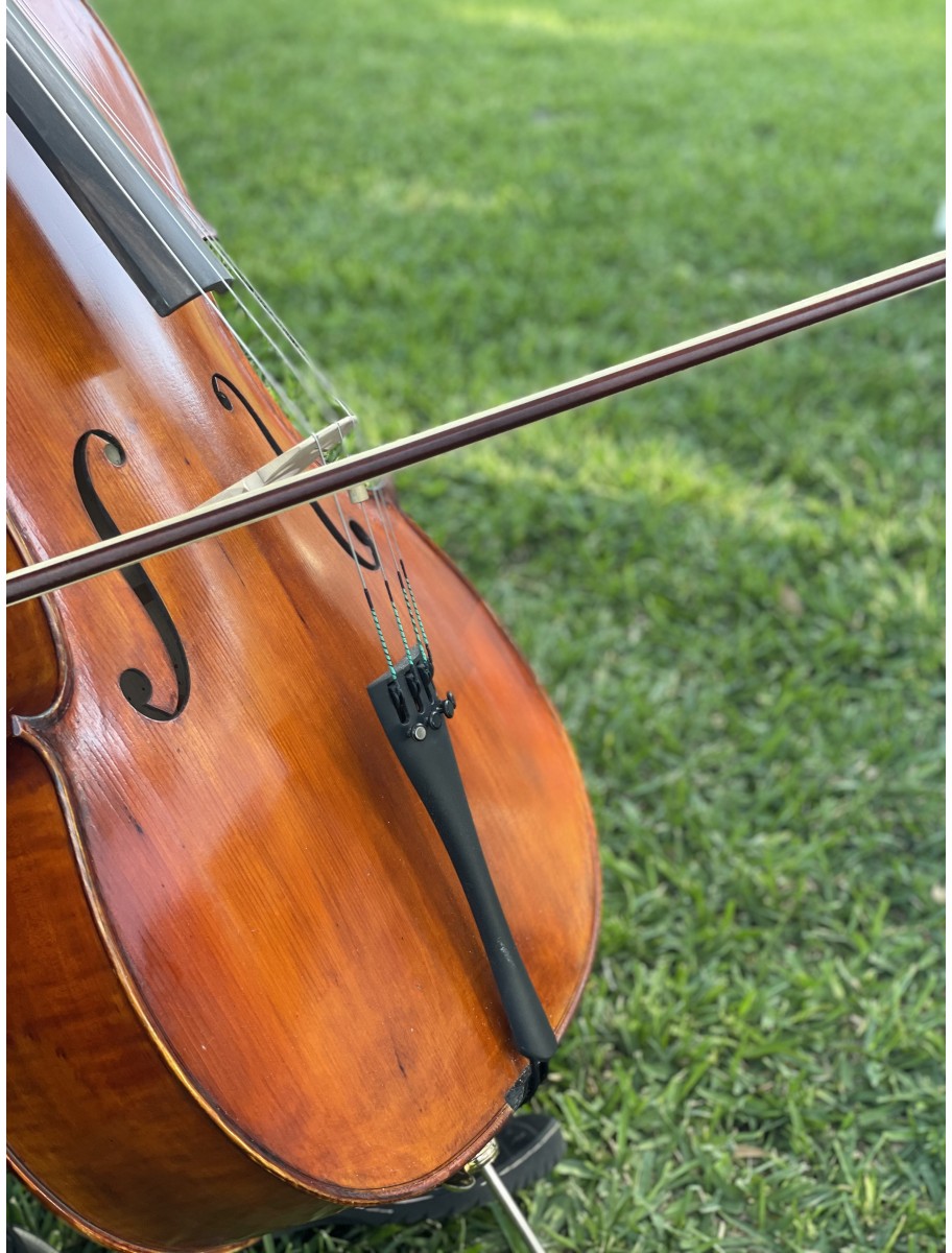 popular-vendors-detail