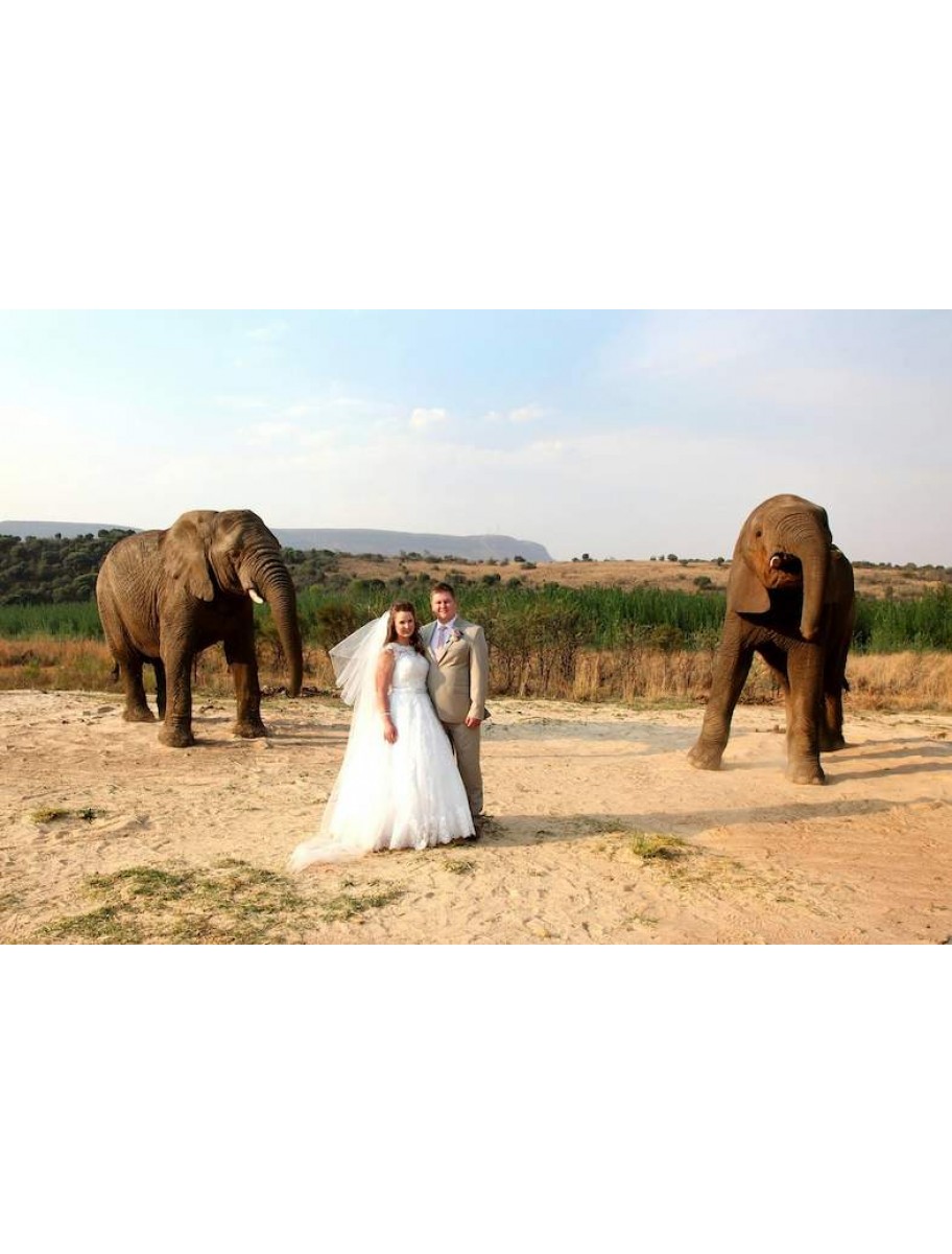 popular-vendors-detail