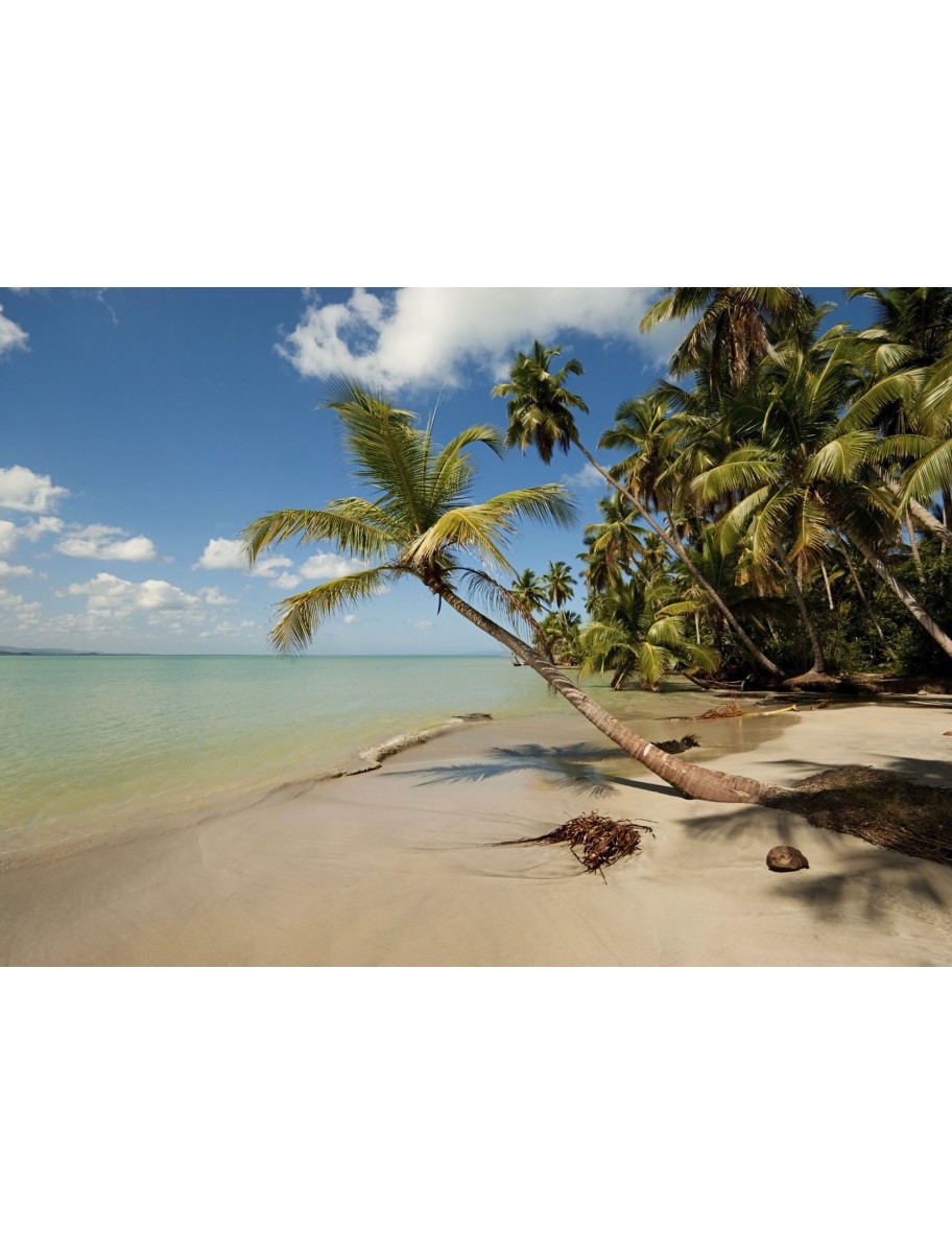 popular-vendors-detail