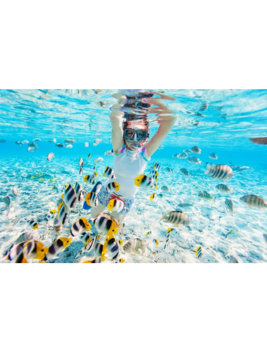 popular-vendors-detail