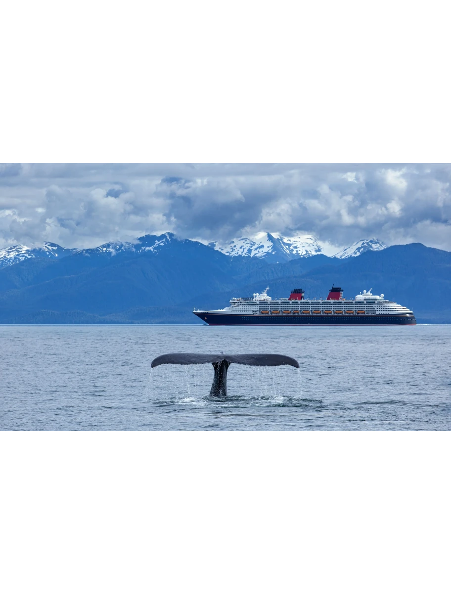 popular-vendors-detail