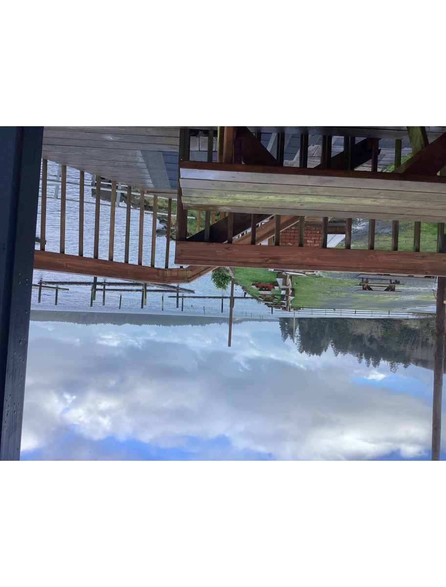 popular-vendors-detail