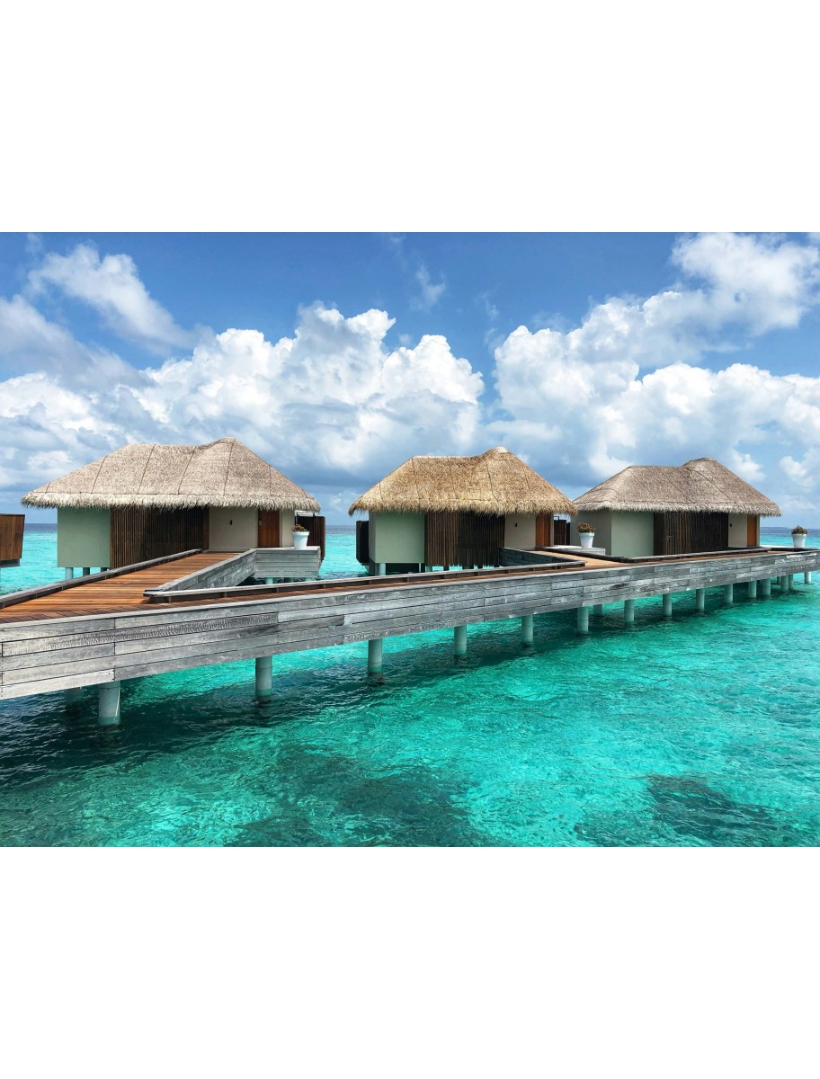 popular-vendors-detail