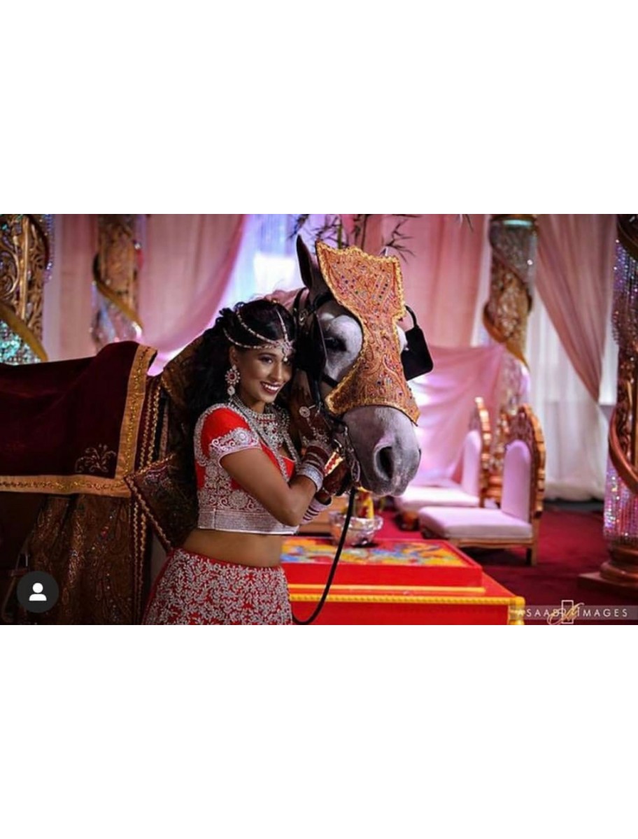 popular-vendors-detail