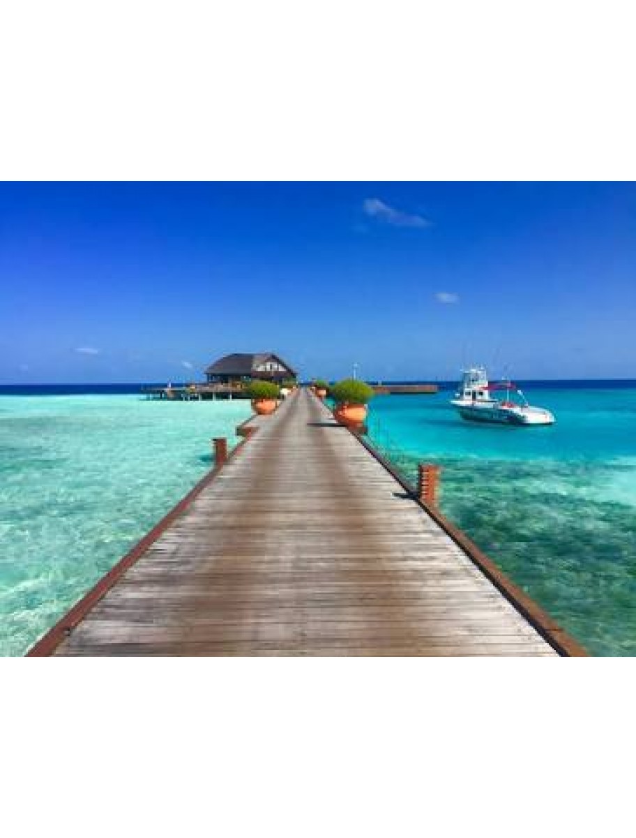 popular-vendors-detail