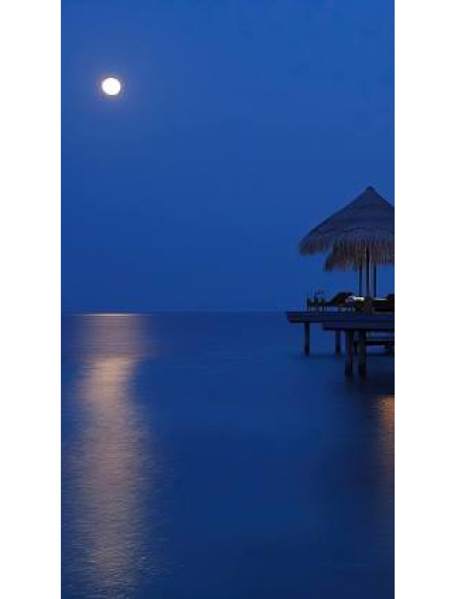 popular-vendors-detail