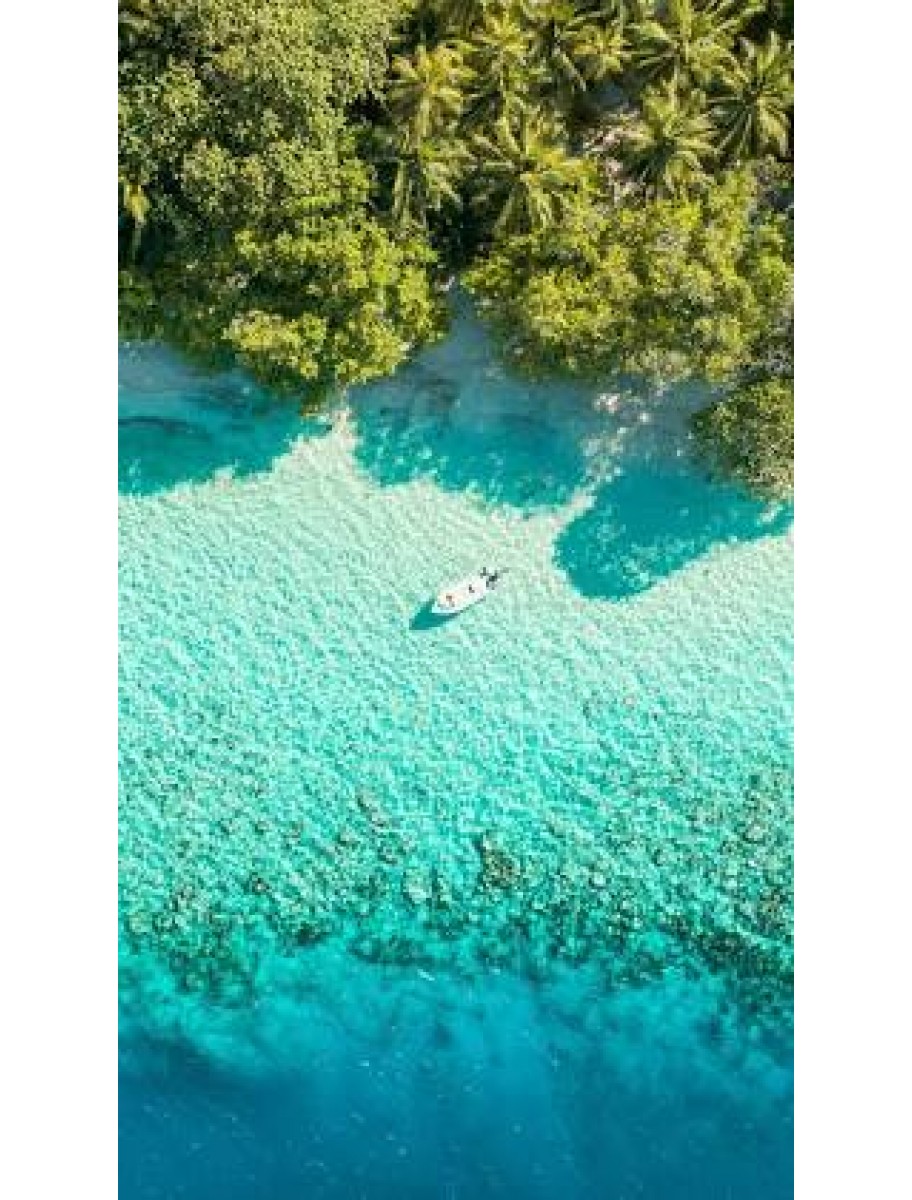 popular-vendors-detail