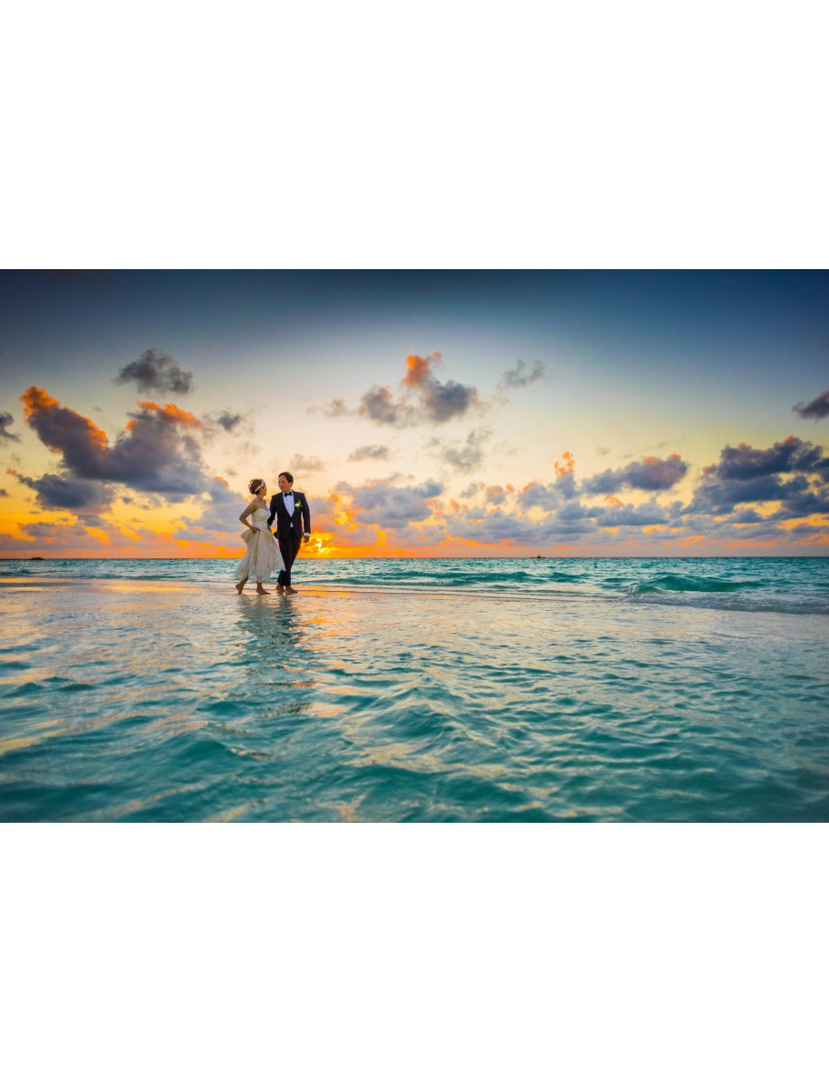 popular-vendors-detail