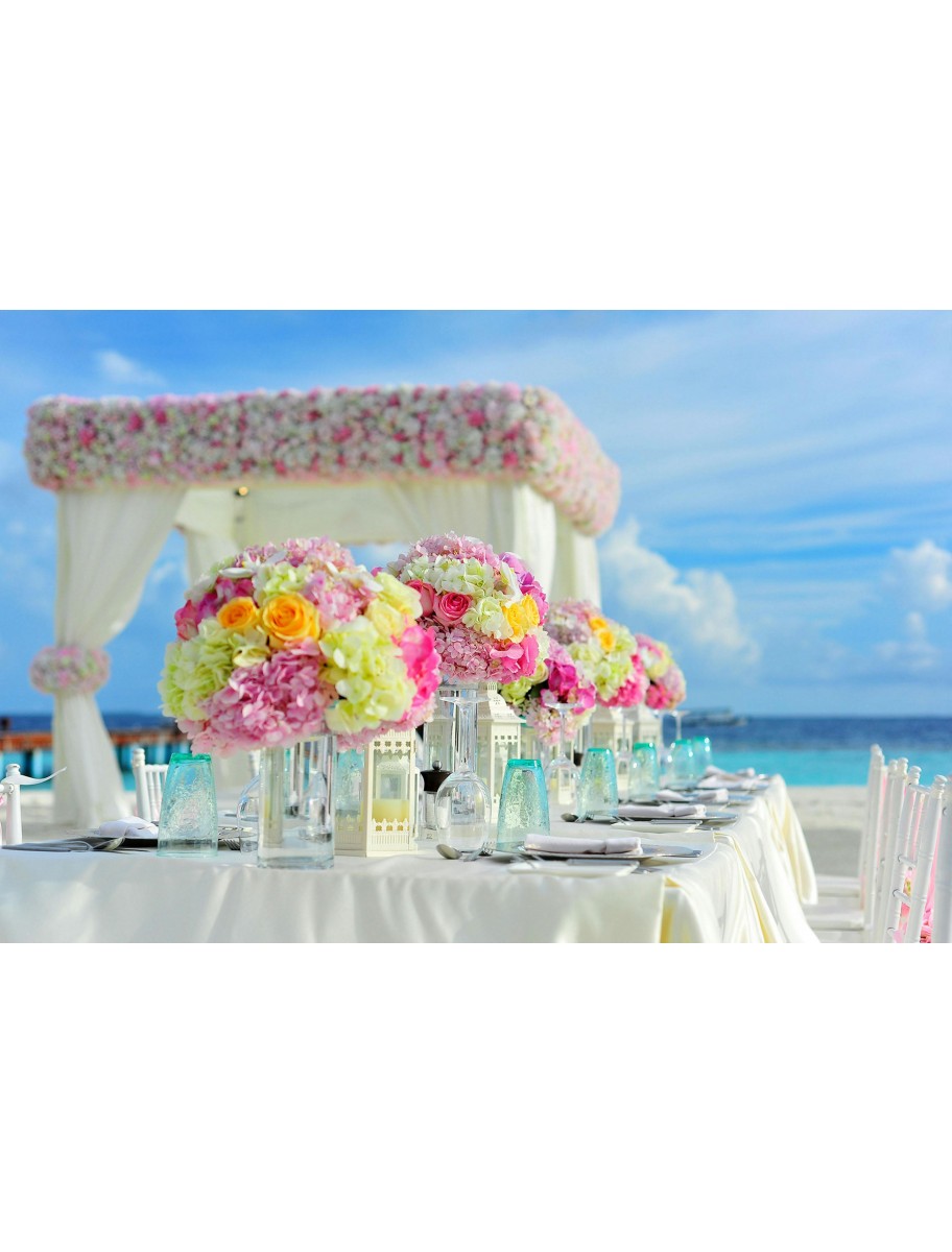 popular-vendors-detail