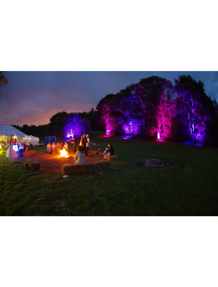 popular-vendors-detail