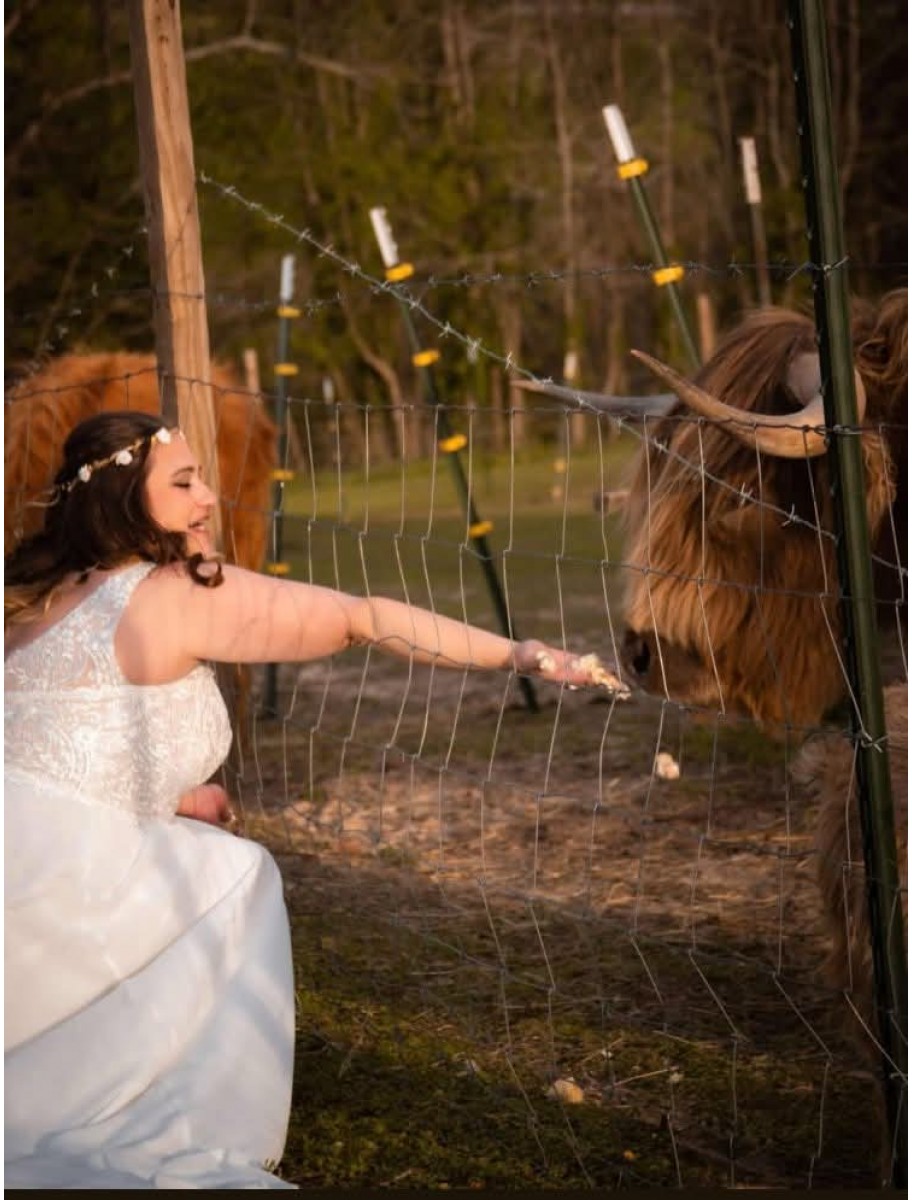 popular-vendors-detail