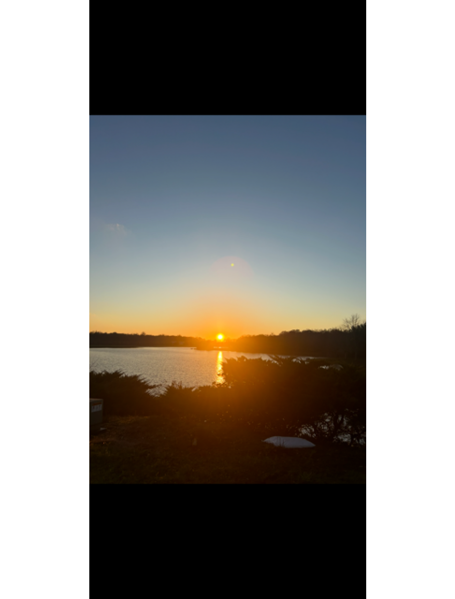 popular-vendors-detail