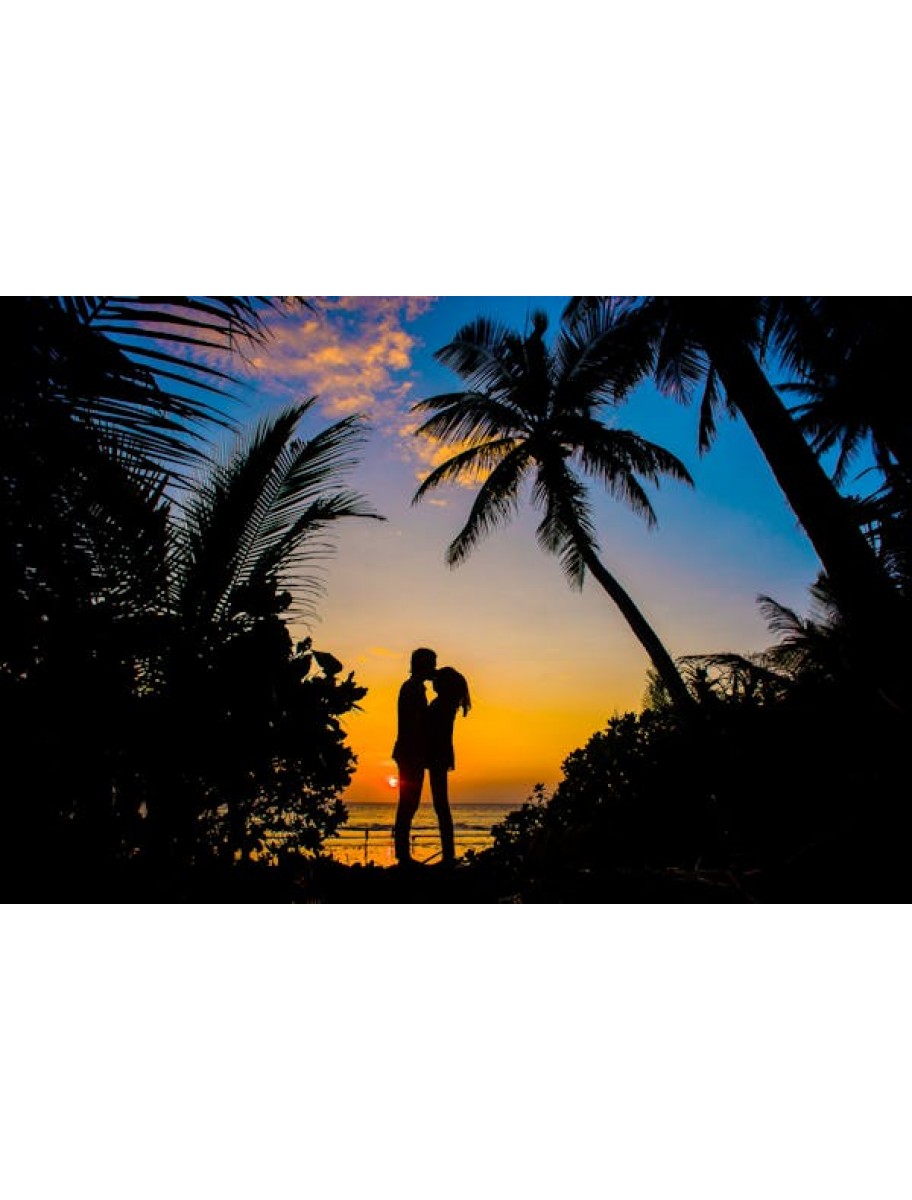 popular-vendors-detail