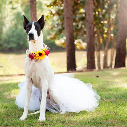 popular-vendors-detail