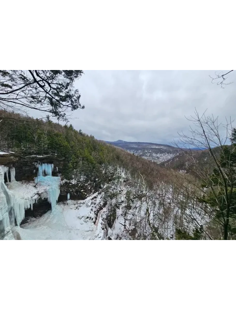 popular-vendors-detail