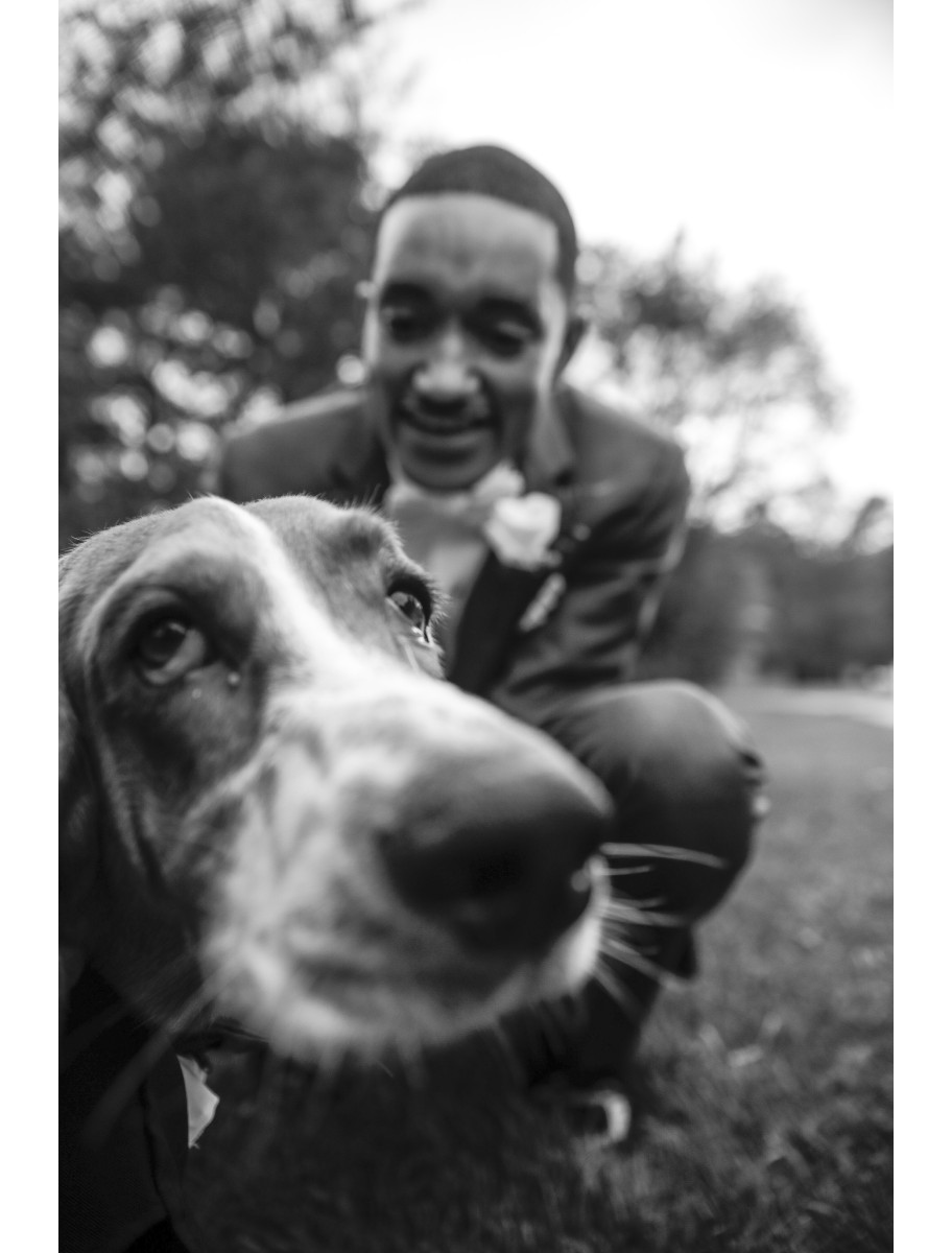 popular-vendors-detail