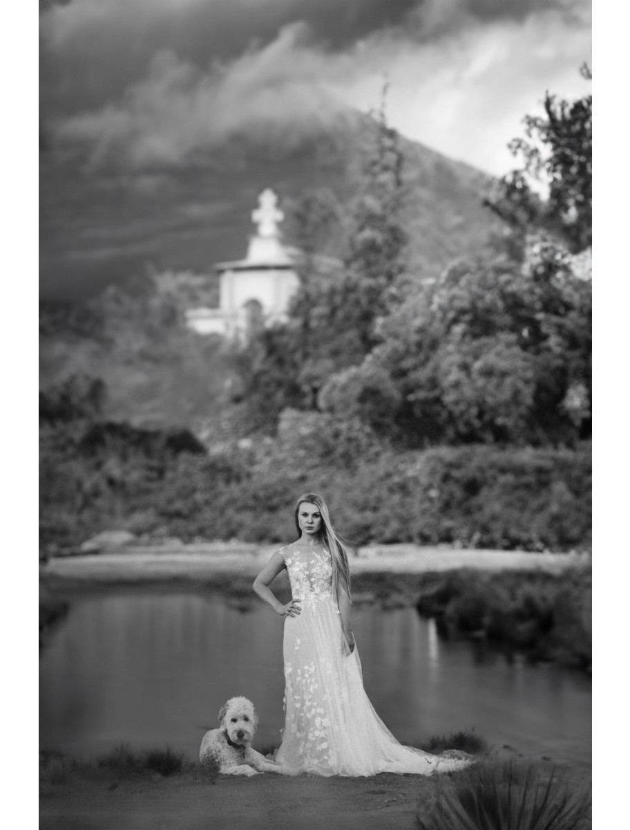 popular-vendors-detail