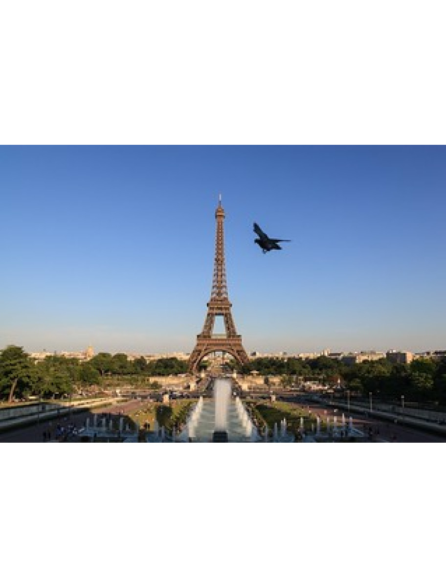 popular-vendors-detail